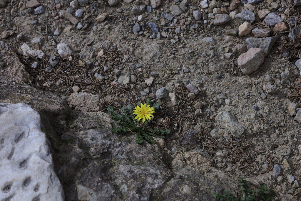 Letters: Why I Stopped Buying Expensive&nbsp;Bags