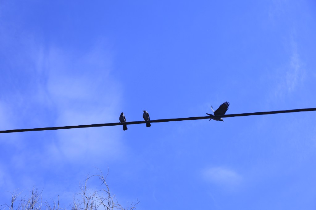 Can Employee Engagement Initiatives Really Counter&nbsp;Attrition?